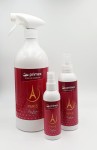 ODŚWIEŻACZ POWIETRZA PARIS 100ML